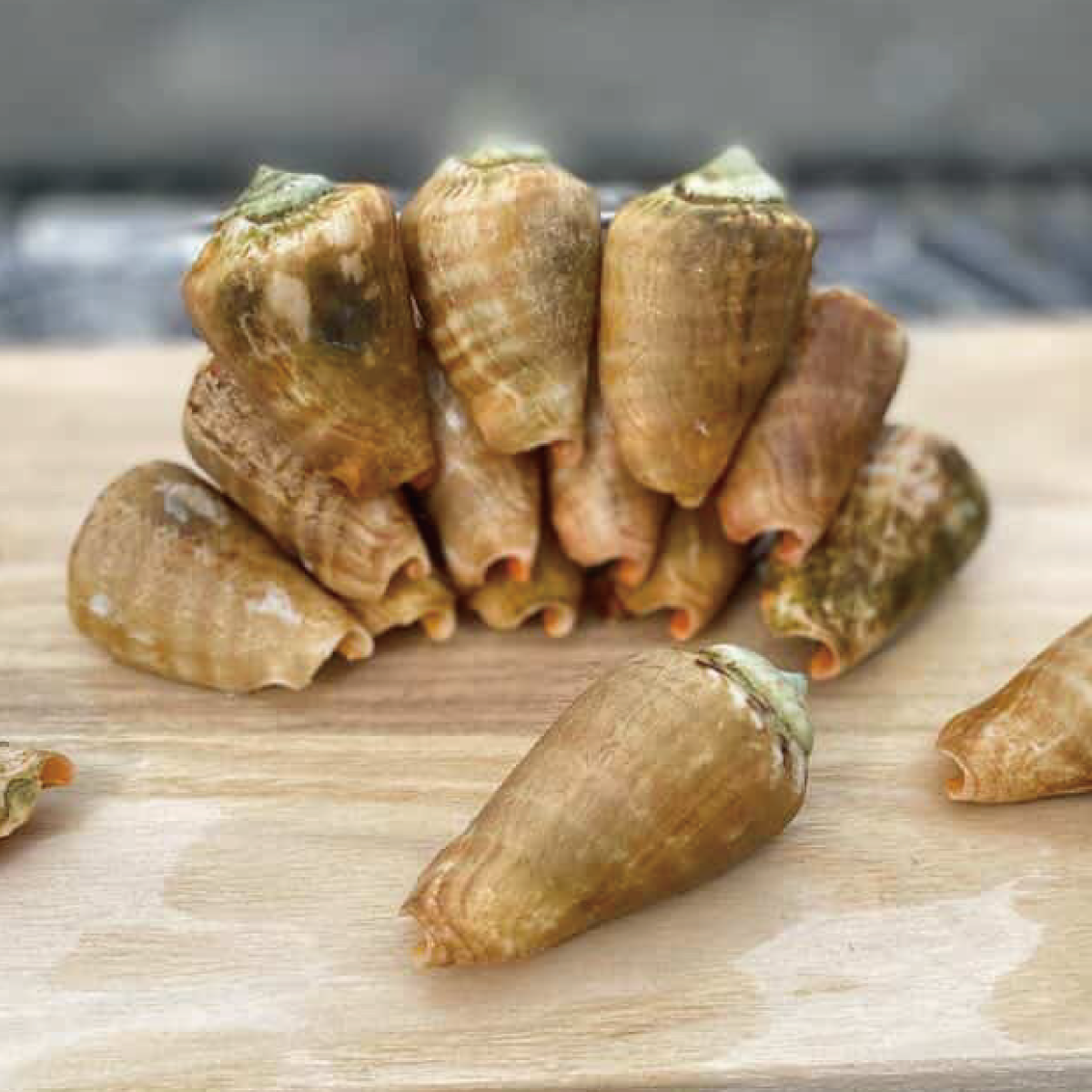 チームうみんちゅ